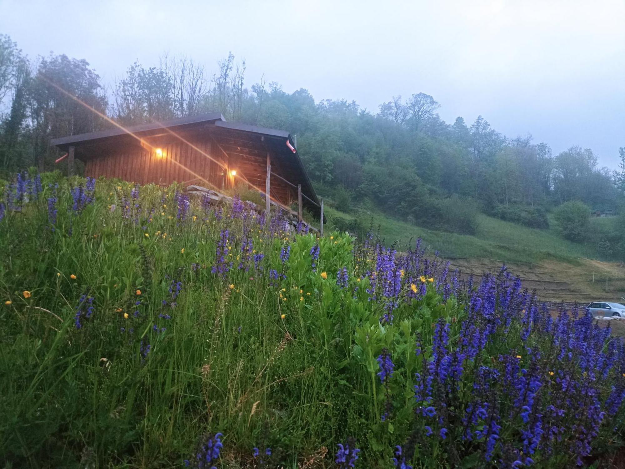 Agriturismo Cascina Cornella Cremeno Eksteriør billede