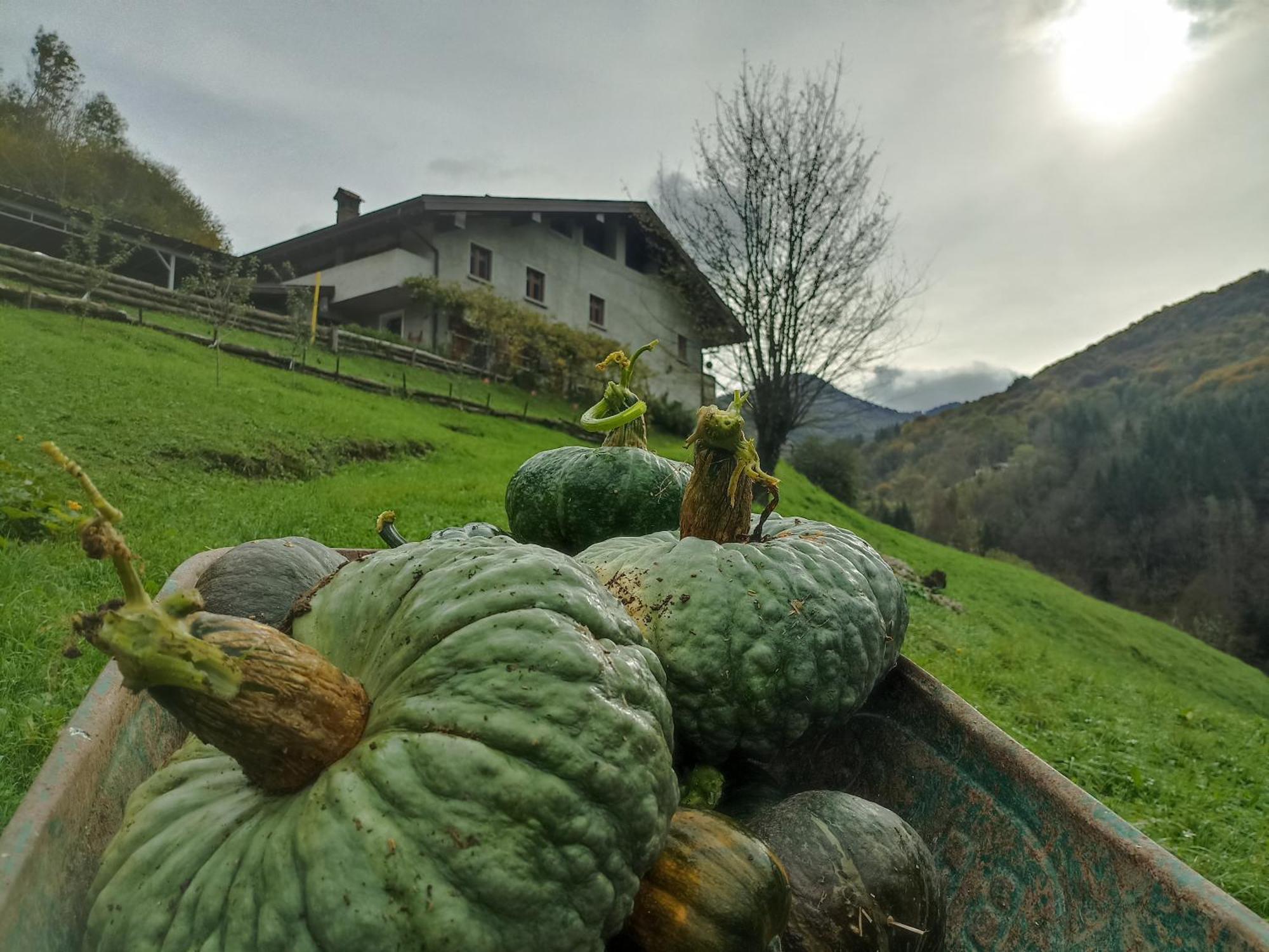 Agriturismo Cascina Cornella Cremeno Eksteriør billede