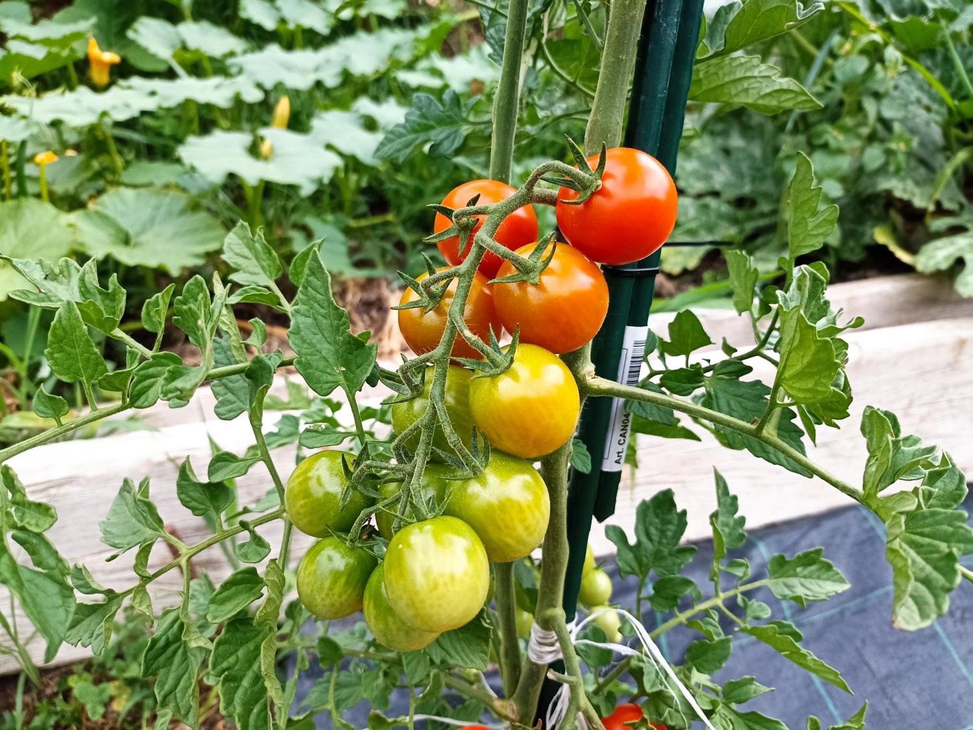 Agriturismo Cascina Cornella Cremeno Eksteriør billede