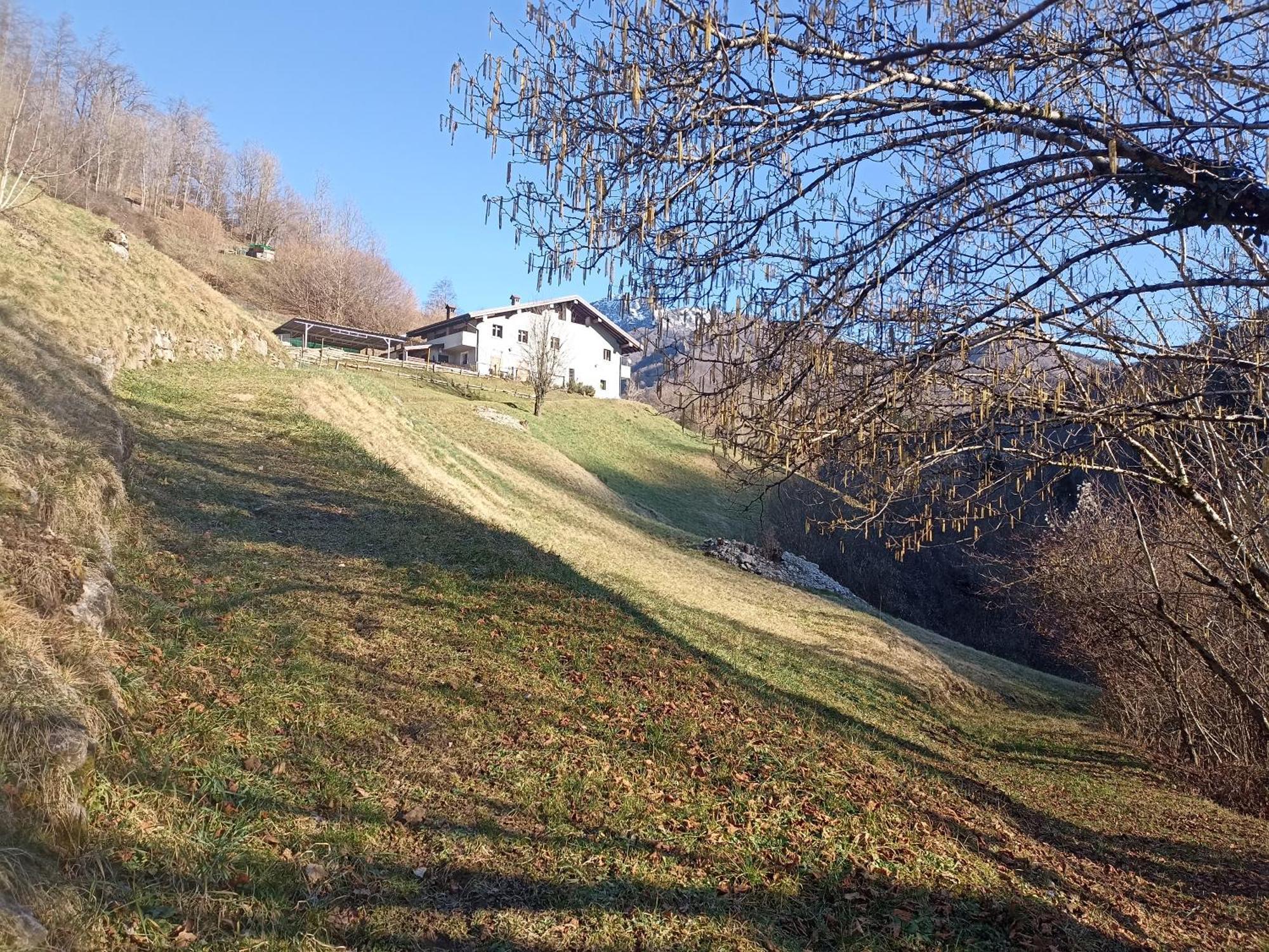 Agriturismo Cascina Cornella Cremeno Eksteriør billede