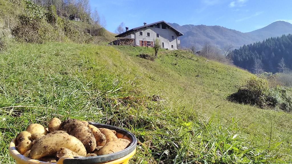 Agriturismo Cascina Cornella Cremeno Eksteriør billede