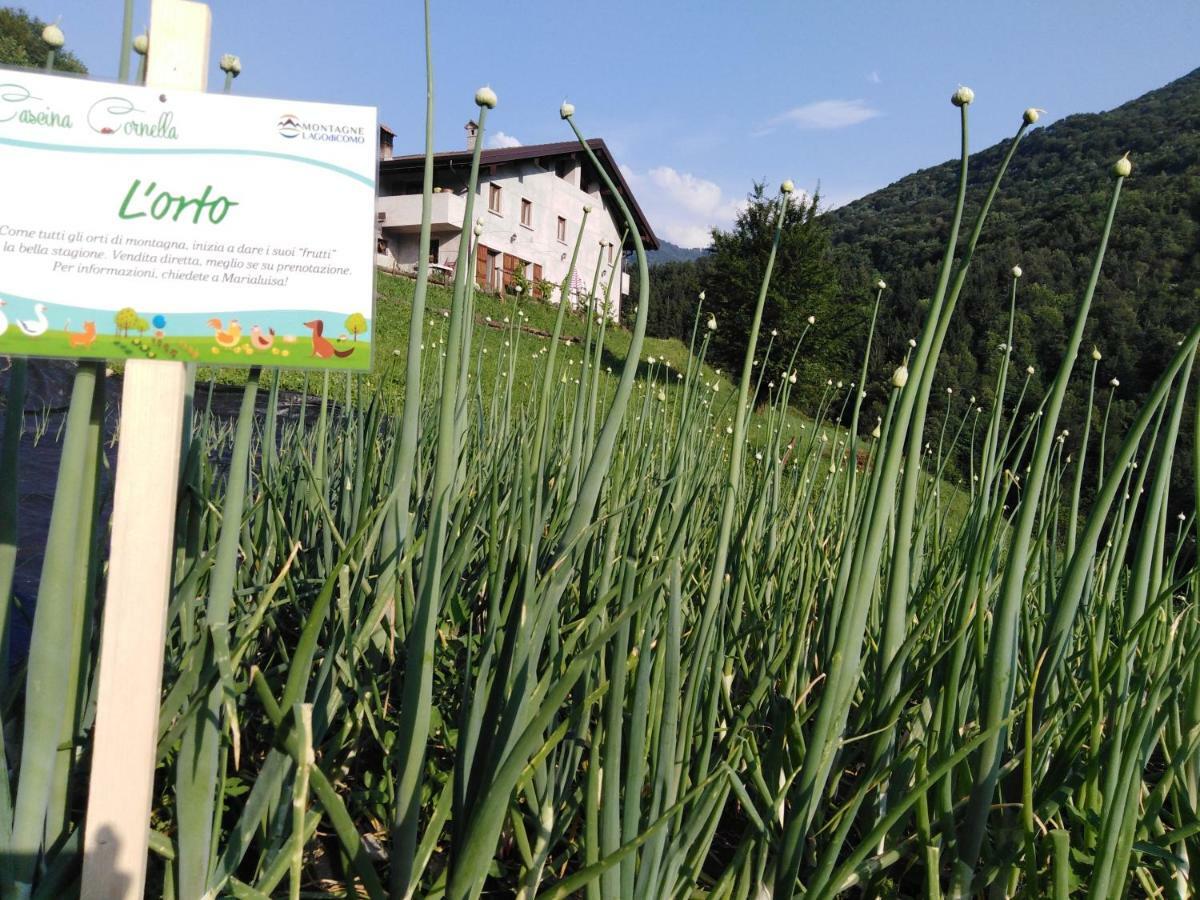 Agriturismo Cascina Cornella Cremeno Eksteriør billede
